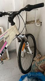 bicicletta bianchi