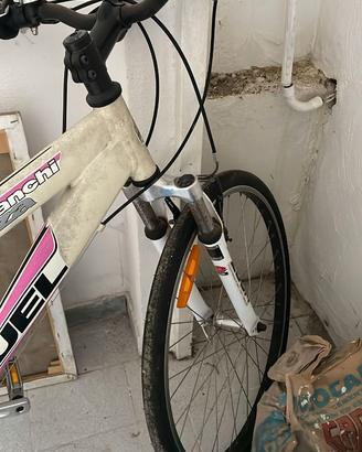 bicicletta bianchi