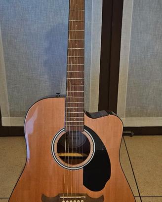 Chitarra e porta chitarra