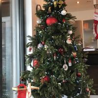 Albero Natale silicone