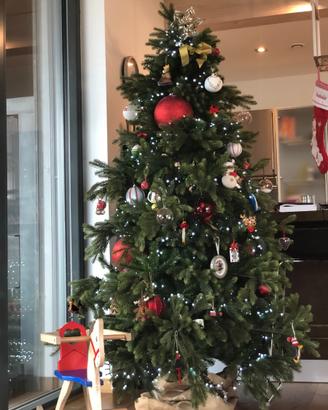 Albero Natale silicone