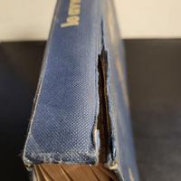 Le Avventure di Pinocchio