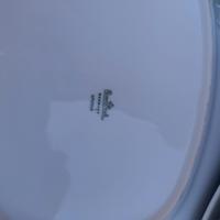 10 piatti rettangolari Rosenthal epoque cm 34x28.5