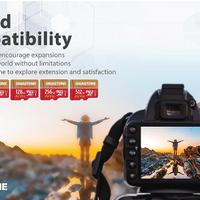 [5 Anni Recupero Dati Gratuito] GIGASTONE 256 (c)