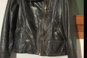 Bomber Harley Davidson tg S