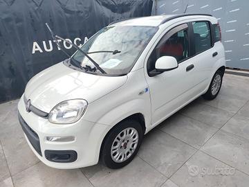 Fiat Panda 1.2 BENZINA GARANZIA 12 MESI