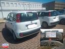 fiat-panda-1-2-easy-bthoot