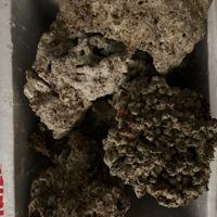 Rocce acquario marino