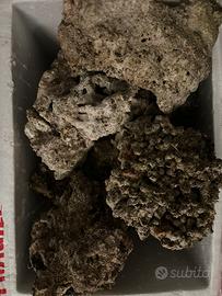 Rocce acquario marino