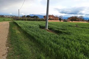 Terreno edificabile