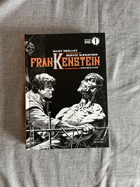 Fankenstein Bernie Wrightson e Stephen King