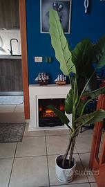 Appartamento arredato in tutto a Barletta