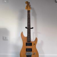 Washburn N2