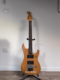 Washburn N2