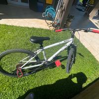 Bicicletta