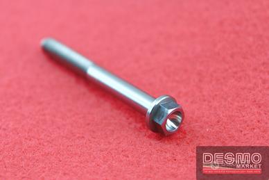 Vite titanio NCR testa esagono flangiata M6x55 Pas
