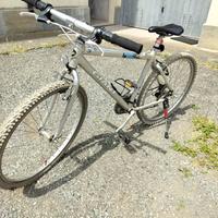 Mountain bike Giant