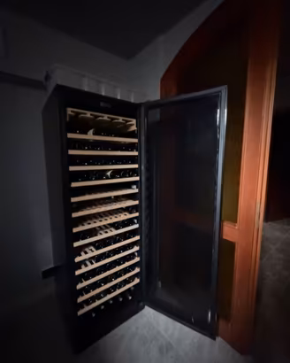 Cantinetta vini professionale