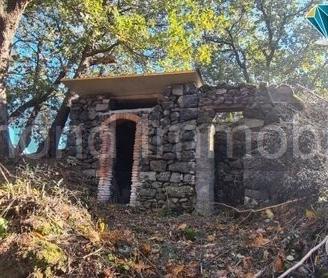 Terreno 3.700 mq a linguaglossa