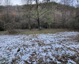 Terreno agricolo