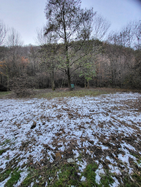 Terreno agricolo