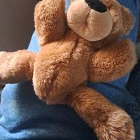 Peluche pupazzo orso orsetto trudi