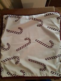 Fodere per cuscino Primark