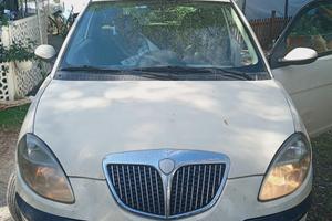 lancia y