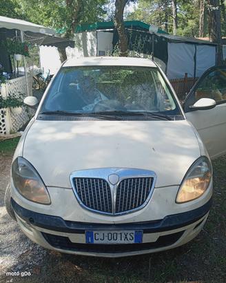 lancia y
