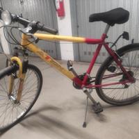 Bici 50 euro