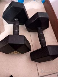 2 pesi da 10 kg