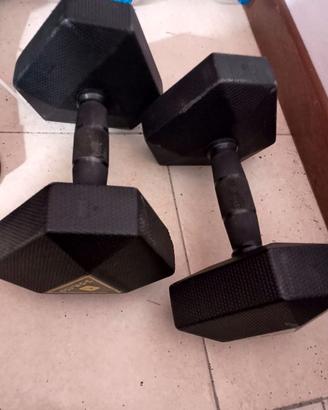 2 pesi da 10 kg