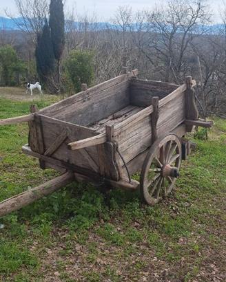 Carro in legno