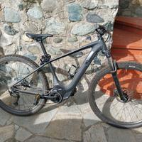 Bici mountain bike elettrica
