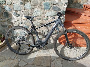 Bici mountain bike elettrica