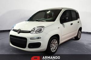 FIAT Panda 3nd serie 1.0 FireFly S&S Hybrid Icon