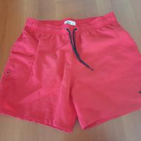 boxer mare Hollister