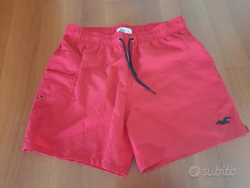 boxer mare Hollister