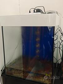 acquario artigianale 