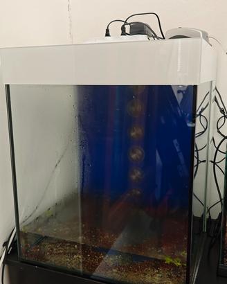 acquario artigianale 