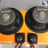 COPPIA WOOFER BENSI 100W 4 Ohm 10" Pollici 25cm e