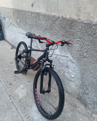 bicicletta 