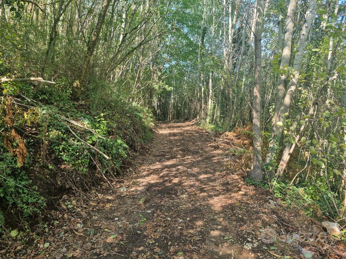 Terreno di mq. 25.000 con rudere di mq. 180 ca - Vista 5