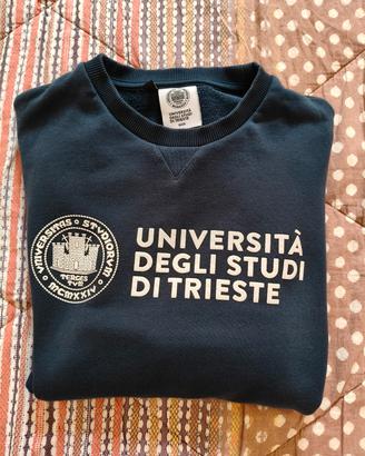 Crewneck University 