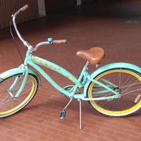 Bici Custom Nirve