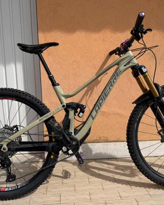 Bici enduro dh