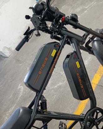 bici elettrica 