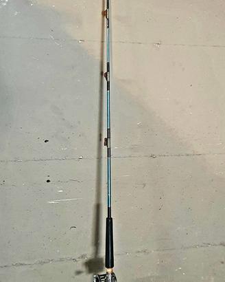 canna da pesca Italcanna Solid Class