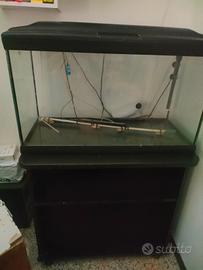 Acquario 
