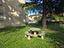 Immagine 24